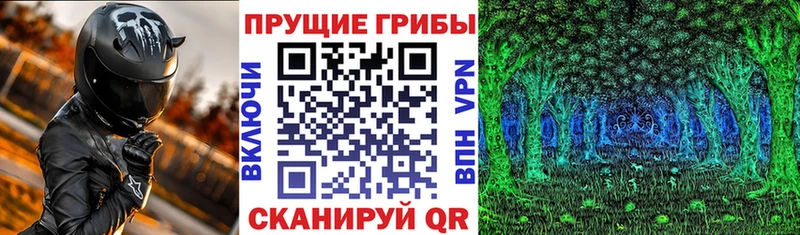 цена   ОМГ ОМГ ТОР  Галлюциногенные грибы MAGIC MUSHROOMS  Слюдянка 
